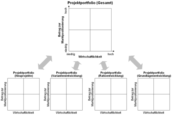 Zusammenf&uuml;hrung der Einzelprojekte in ein Gesamt-Projektportfolio
