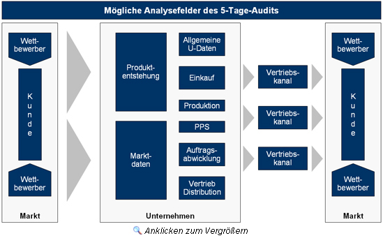 M&ouml;gliche Analysefelder des 5-Tage-Audits