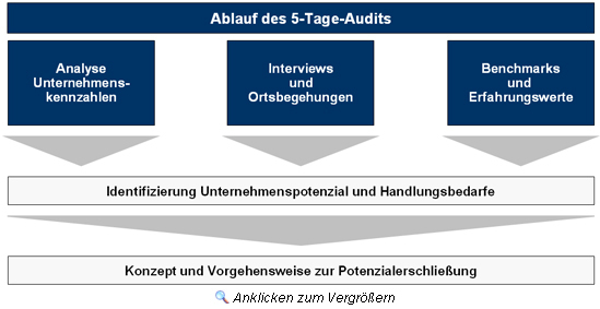 Ablauf des 5-Tage-Audits