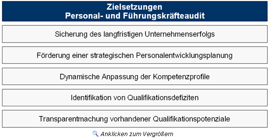 Zielsetzungen des Personal- und F&uuml;hrungskr&auml;fteaudits