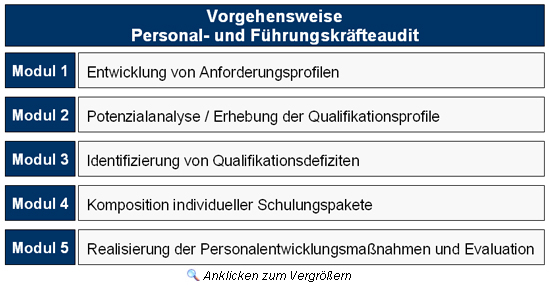 Vorgehensweise zur Durchf&uuml;hrung eines Personal- und F&uuml;hrungskr&auml;fteaudits