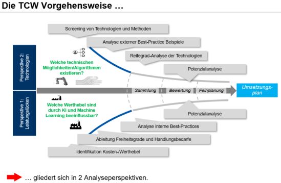 TCW Analyseperspektive