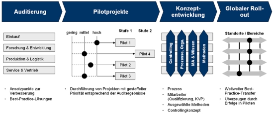 Vorgehensweise zur Einführung des TCW Management Excellence Systems