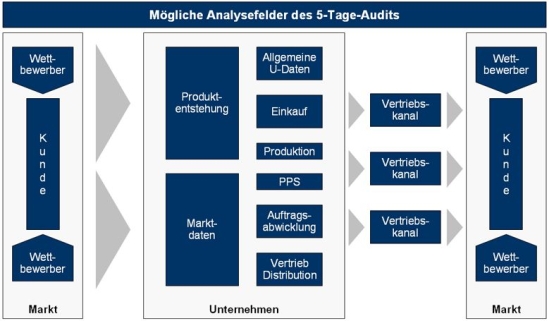 Mögliche Analysefelder des 5-Tage-Audits