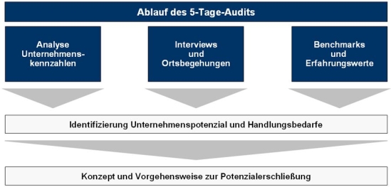 Ablauf des 5-Tage-Audits