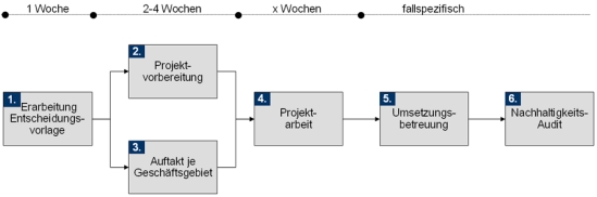 Vorgehensweise zur Implementierung des Quality Excellence Programmes