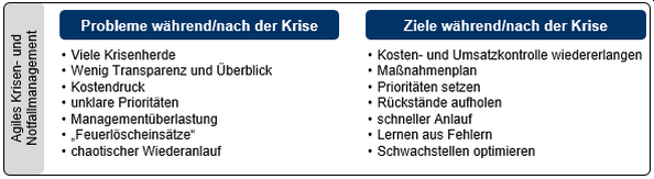 Abb. 2: Probleme und Ziele während und nach einer Krise  