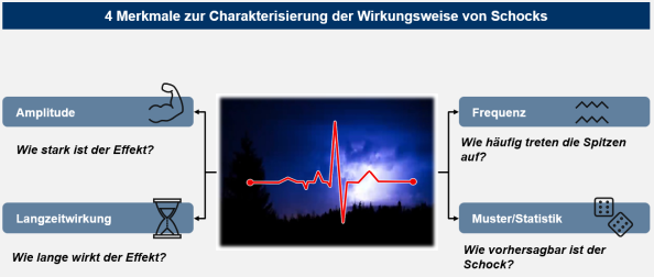 Abb. 1: 4 Merkmale zur Charakterisierung der Wirkungsweise von Schocks