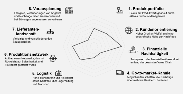 Abb. 2: Der Resilienz-Radar zeigt die individuellen Handlungsfelder