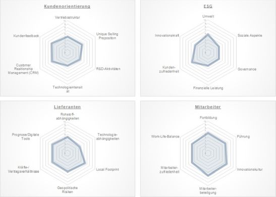 Abbildung 1: Auszug aus der Studie 