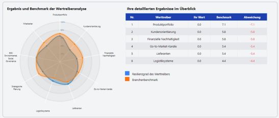 Abbildung 2: Ergebnis des Resilienzaudits des betrachteten Unternehmens.