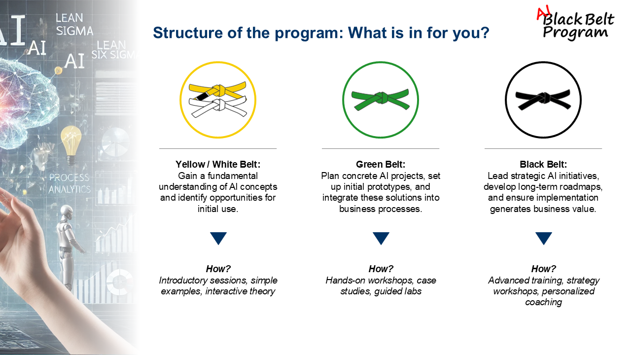 Anklicken zum Vergrößern Fig. 1: Structure of the program: What is in for you?
