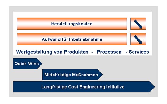 Herausforderungen und Ziele für das Cost Engineering Projekt 